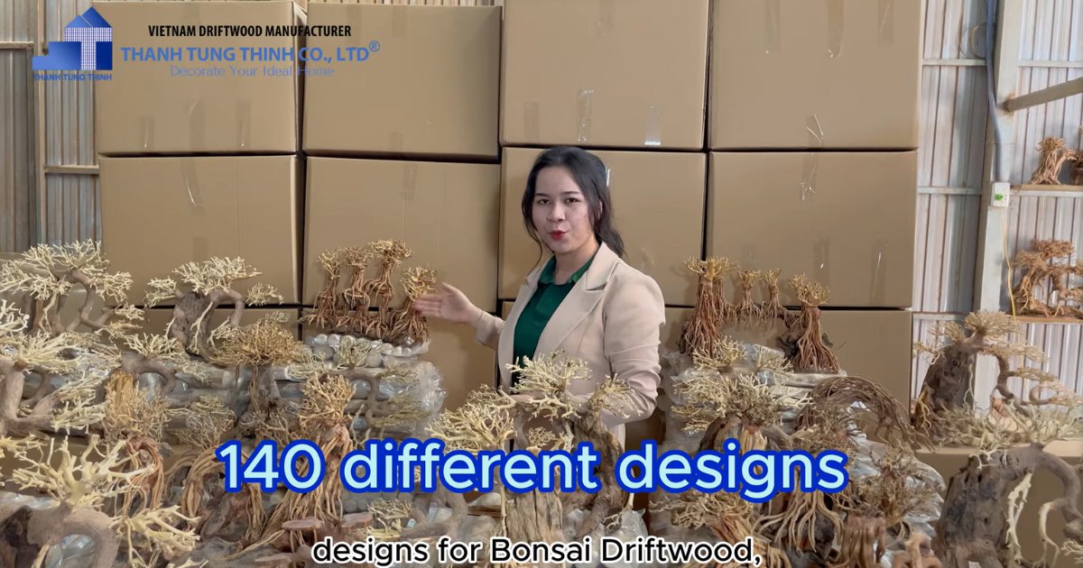 The packaging process of a Driftwood Bonsai Supplier in Vietnam